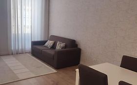 Terro Collection - Sao Vicente 78